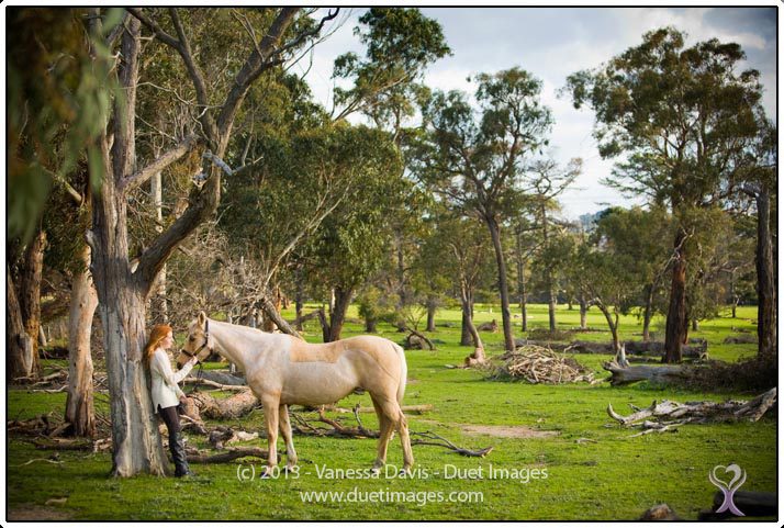 Equine Photography by Horse Photographer Melbourne