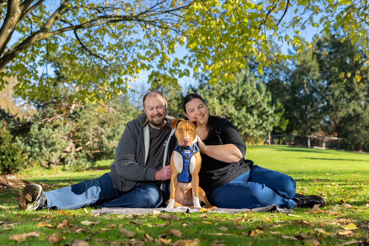dog photography Melbourne 2026