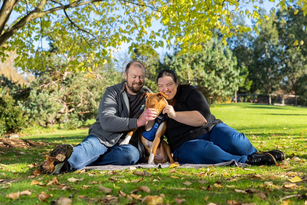 dog photography Melbourne 2026