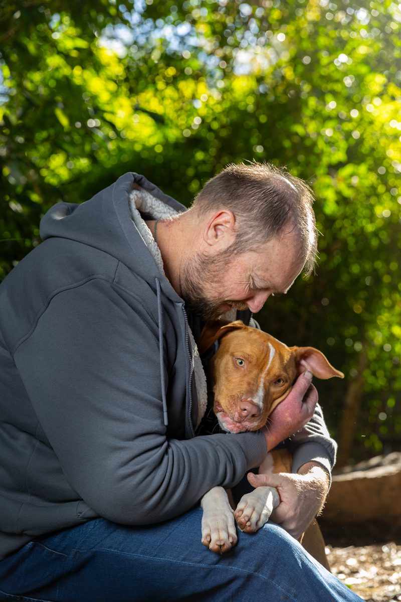 dog photography Melbourne 2026